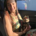 Yorkie Paradise Reviews