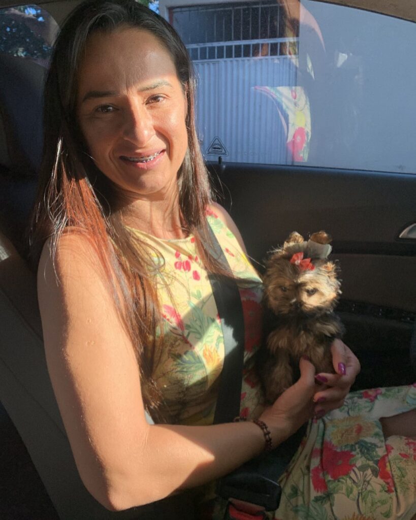Yorkie Paradise Reviews