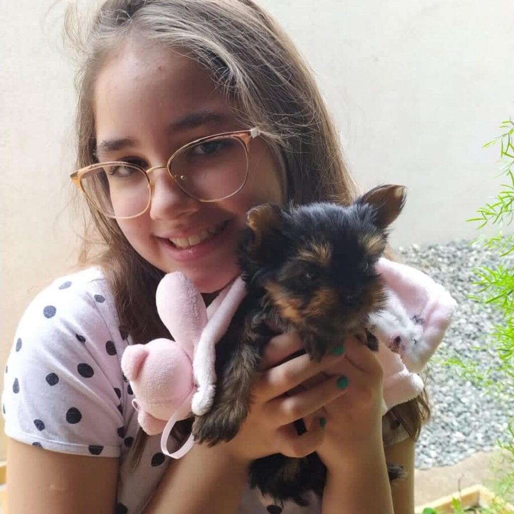 Yorkie Puppy Adoption Process